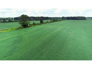 Dekalb County, Indiana Farmland - FARM AUCTION - 4 BEDROOM HOME, BUILDINGS, 70+/- ACRES OFFERED IN 5 TRACTS IN DEKALB COUNTY, INDIANA